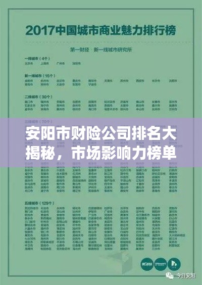安阳市财险公司排名大揭秘，市场影响力榜单揭晓！