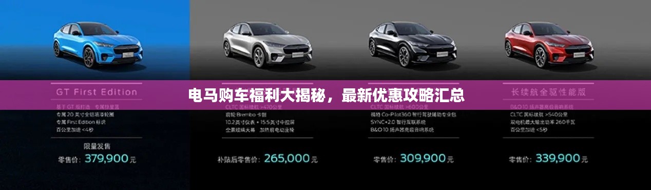 电马购车福利大揭秘，最新优惠攻略汇总