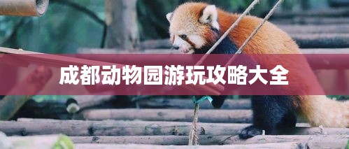 成都动物园游玩攻略大全