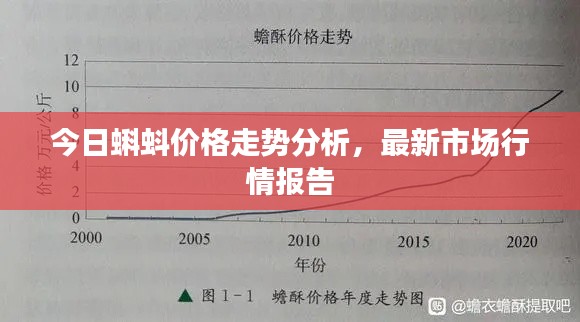 今日蝌蚪价格走势分析，最新市场行情报告