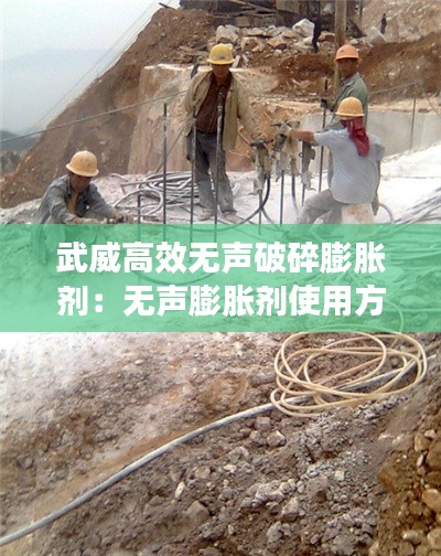 长命富贵 第2页