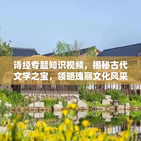 诗经专题知识视频，揭秘古代文学之宝，领略瑰丽文化风采