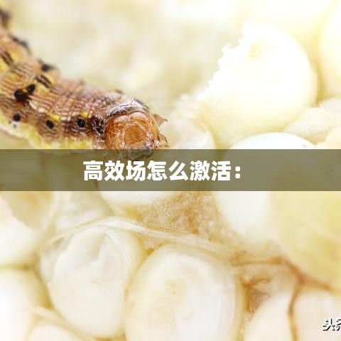 高效场怎么激活： 