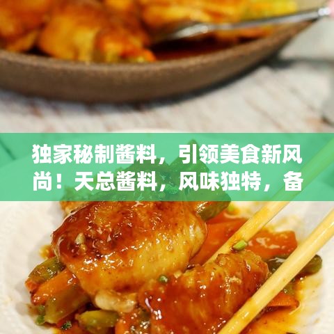 独家秘制酱料，引领美食新风尚！天总酱料，风味独特，备受瞩目！