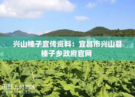 兴山榛子宣传资料：宜昌市兴山县榛子乡政府官网 