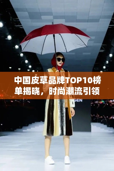 中国皮草品牌TOP10榜单揭晓，时尚潮流引领者，品质之选！