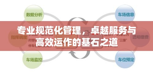 专业规范化管理，卓越服务与高效运作的基石之道