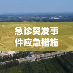 急诊突发事件应急措施，专业应对，保障生命安全