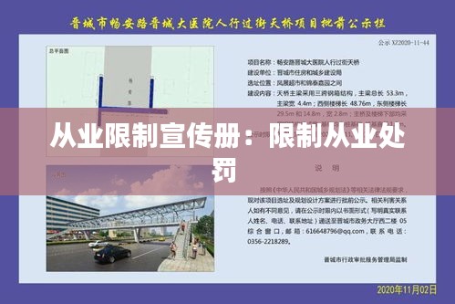 从业限制宣传册：限制从业处罚 