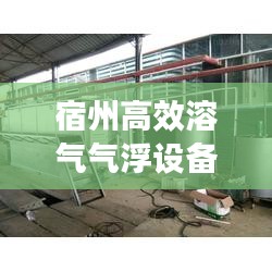 从容就义 第3页