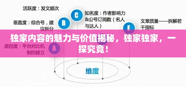 独家内容的魅力与价值揭秘，独家独家，一探究竟！