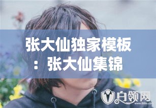 张大仙独家模板：张大仙集锦 