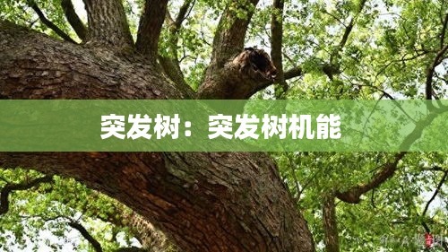 突发树：突发树机能 