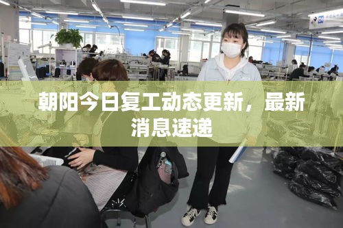 朝阳今日复工动态更新，最新消息速递