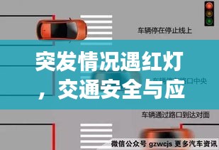 突发情况遇红灯，交通安全与应急处理的微妙平衡
