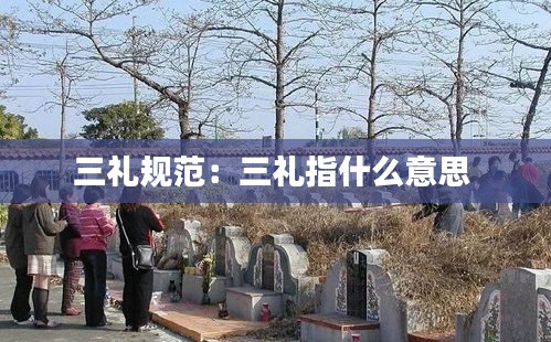 三礼规范：三礼指什么意思 