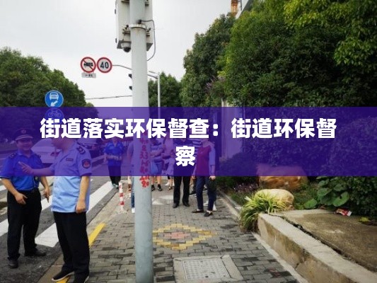 街道落实环保督查：街道环保督察 