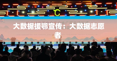大数据援鄂宣传：大数据志愿者 
