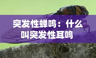 突发性蝉鸣：什么叫突发性耳鸣 