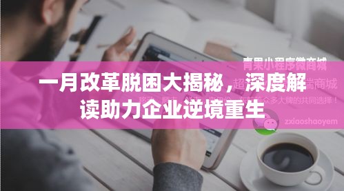 一月改革脱困大揭秘，深度解读助力企业逆境重生