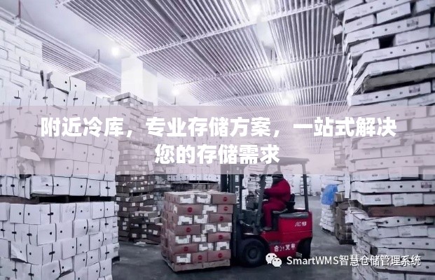 附近冷库，专业存储方案，一站式解决您的存储需求