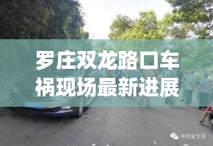 罗庄双龙路口车祸现场最新进展，事故细节曝光，伤亡情况不明