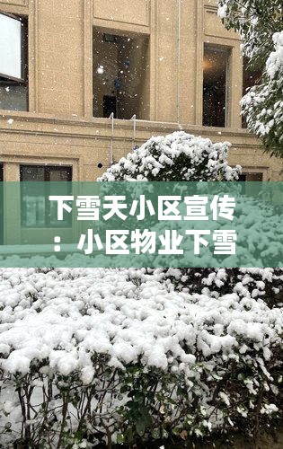 下雪天小区宣传：小区物业下雪温馨提示 
