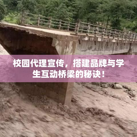 校园代理宣传，搭建品牌与学生互动桥梁的秘诀！