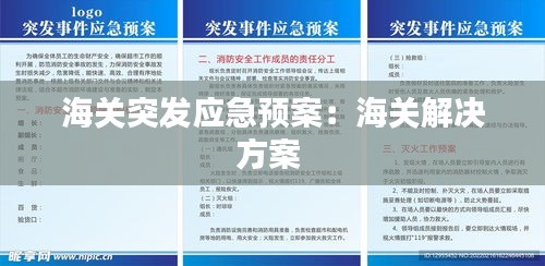 海关突发应急预案：海关解决方案 