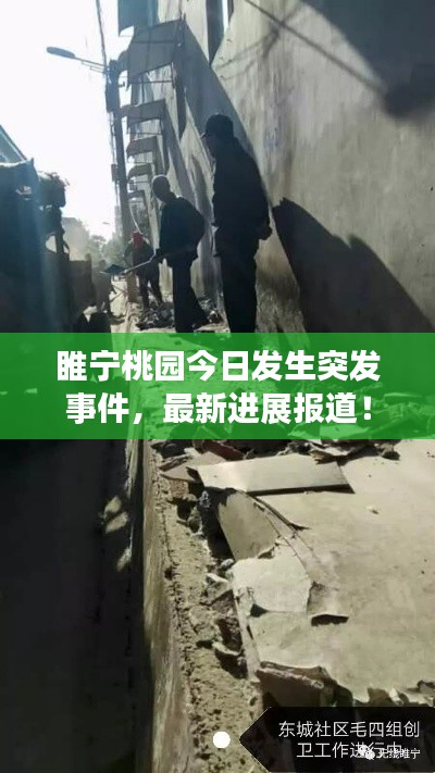 睢宁桃园今日发生突发事件，最新进展报道！