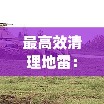 最高效清理地雷：地雷如何拆除 