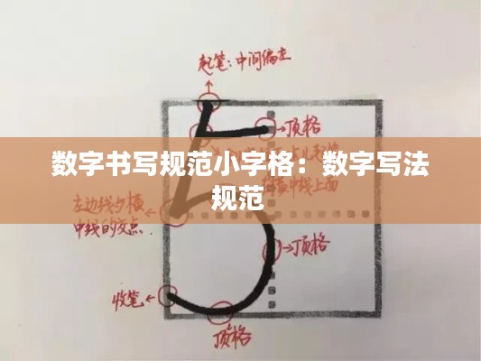 数字书写规范小字格：数字写法规范 