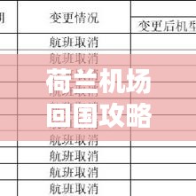 荷兰机场回国攻略，最新指南助你顺利返程