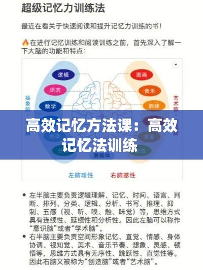 高效记忆方法课：高效记忆法训练 