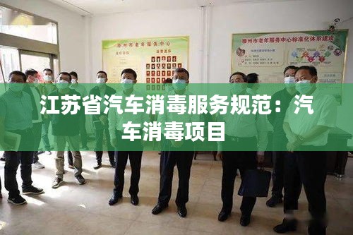 江苏省汽车消毒服务规范：汽车消毒项目 