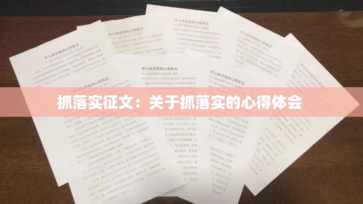 抓落实征文：关于抓落实的心得体会 