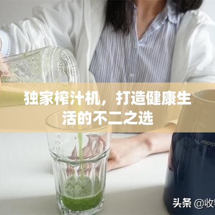 独家榨汁机，打造健康生活的不二之选