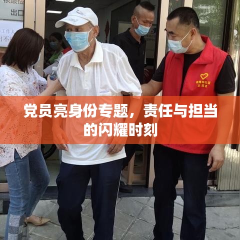 党员亮身份专题，责任与担当的闪耀时刻