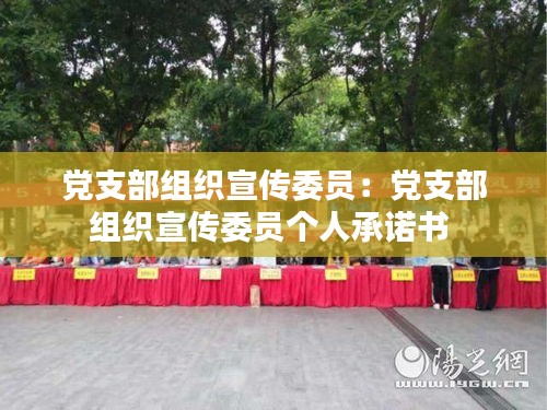 党支部组织宣传委员：党支部组织宣传委员个人承诺书 