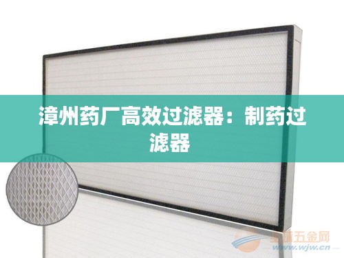 漳州药厂高效过滤器：制药过滤器 