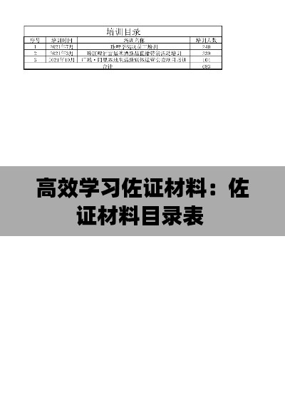 高效学习佐证材料：佐证材料目录表 
