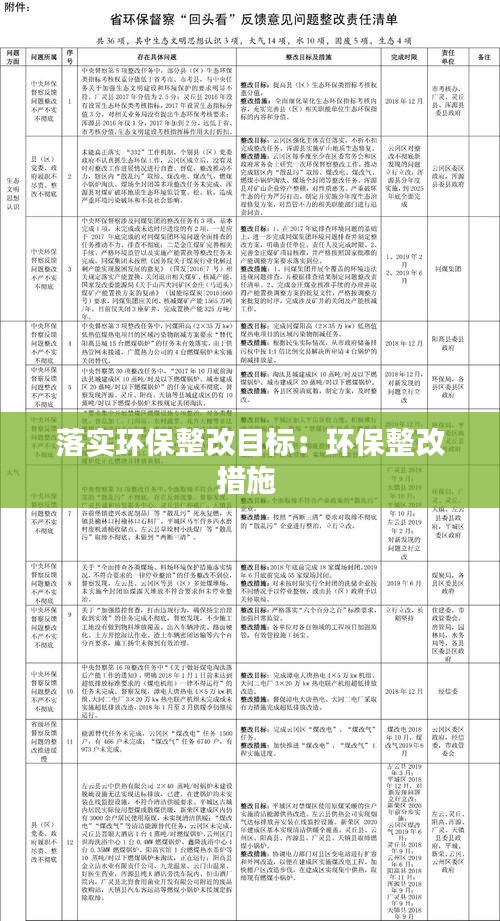 落实环保整改目标：环保整改措施 