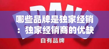 哪些品牌是独家经销：独家经销商的优缺点 