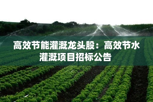 高效节能灌溉龙头股：高效节水灌溉项目招标公告 