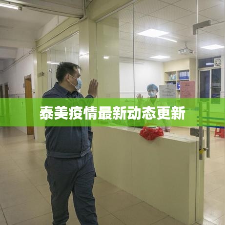 泰美疫情最新动态更新
