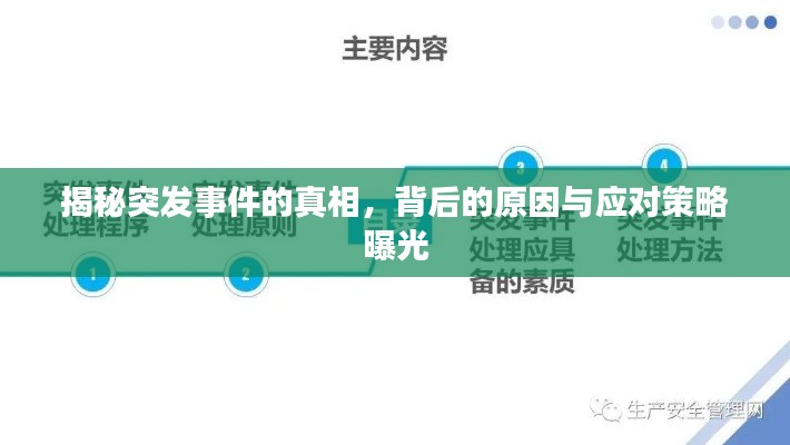 揭秘突发事件的真相，背后的原因与应对策略曝光