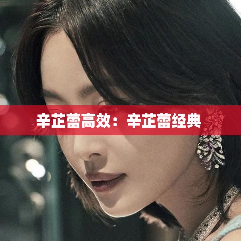 辛芷蕾高效：辛芷蕾经典 