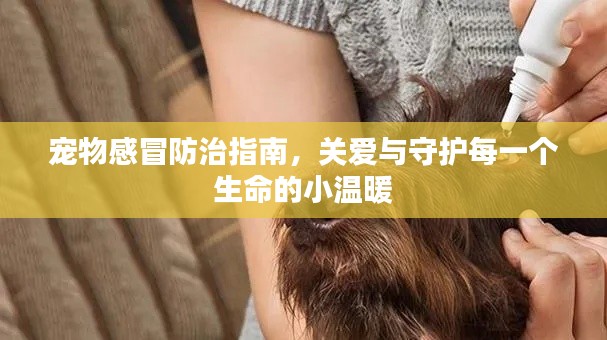 初遇在故事开头 第2页