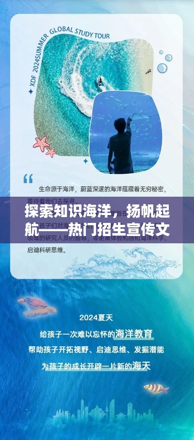 探索知识海洋，扬帆起航——热门招生宣传文案解析