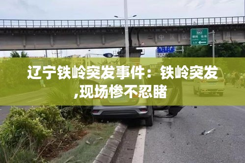 辽宁铁岭突发事件：铁岭突发,现场惨不忍睹 